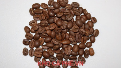 Cà phê Arabica Cầu Đất S18